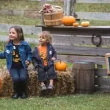 Island Farm photo