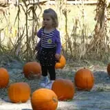 Island Farm photo