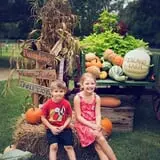 Island Farm photo