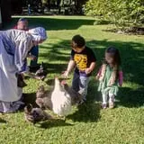 Island Farm photo