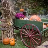 Island Farm photo