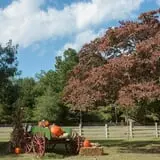 Island Farm photo