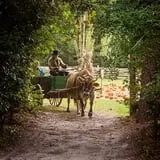 Island Farm photo