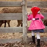 Island Farm photo