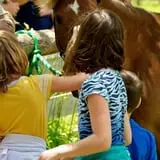Island Farm photo