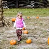 Island Farm photo