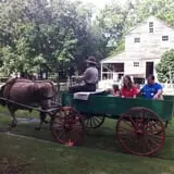 Island Farm photo