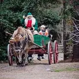 Island Farm photo