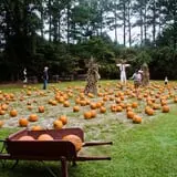 Island Farm photo