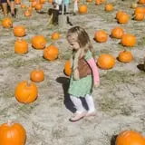 Island Farm photo