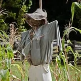 Island Farm photo
