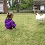Island Farm photo