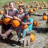 Island Farm photo