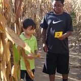 Lee Turkey Farm Pumpkin Picking & Hayride photo