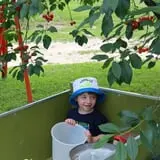 Lee Turkey Farm Pumpkin Picking & Hayride photo