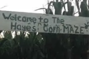 Hayes Corn Maze