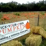 Queens Farm Fall Festival photo