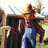 Pumpkinville photo