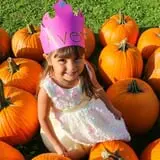 Pumpkinville photo