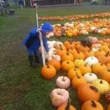 Pumpkinville photo