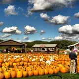 Pumpkinville photo