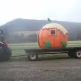 Pumpkinville photo