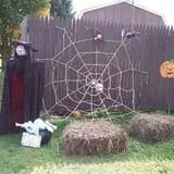 Pumpkinville photo