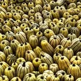 Pumpkinville photo