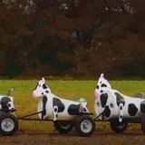 Pumpkinville photo