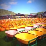 Pumpkinville photo