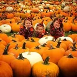 Pumpkinville photo