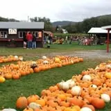 Pumpkinville photo