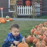 Pumpkinville photo