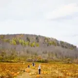 Pumpkinville photo