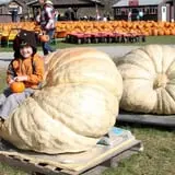 Pumpkinville photo