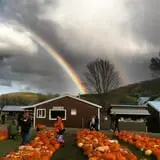 Pumpkinville photo