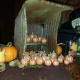Pumpkinville photo
