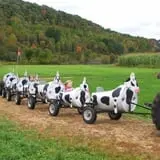 Pumpkinville photo