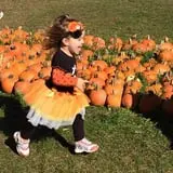 Pumpkinville photo