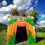 Pumpkinville photo