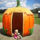 Pumpkinville photo