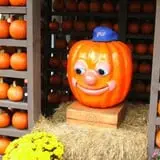 Pumpkinville photo