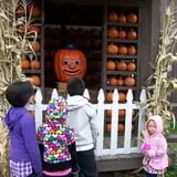 Pumpkinville photo