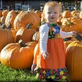 Pumpkinville photo
