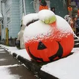 Pumpkinville photo