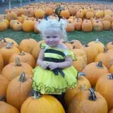 Pumpkinville photo