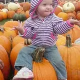 Pumpkinville photo