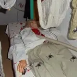 The Allen Asylum photo