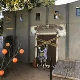 The Allen Asylum photo