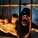 The Allen Asylum photo
